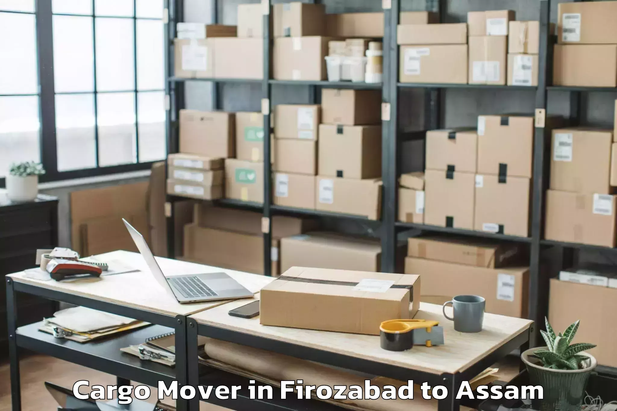 Top Firozabad to Abhilashi University Jorhat Cargo Mover Available